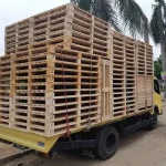 kategori-pallet-kayu-lokal