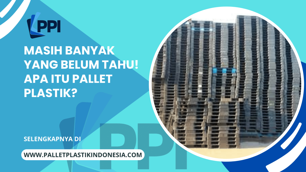 Masih Banyak Yang Belum Tahu! Apa Itu Pallet Plastik?