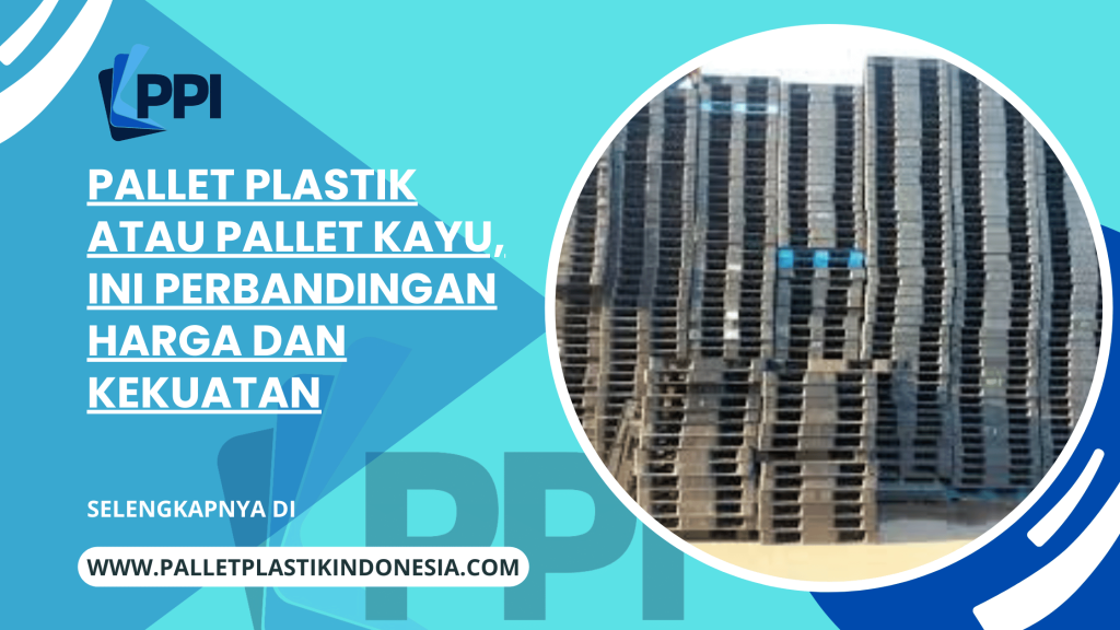 Pallet Plastik atau Pallet Kayu, Ini Perbandingan Harga dan Kekuatan