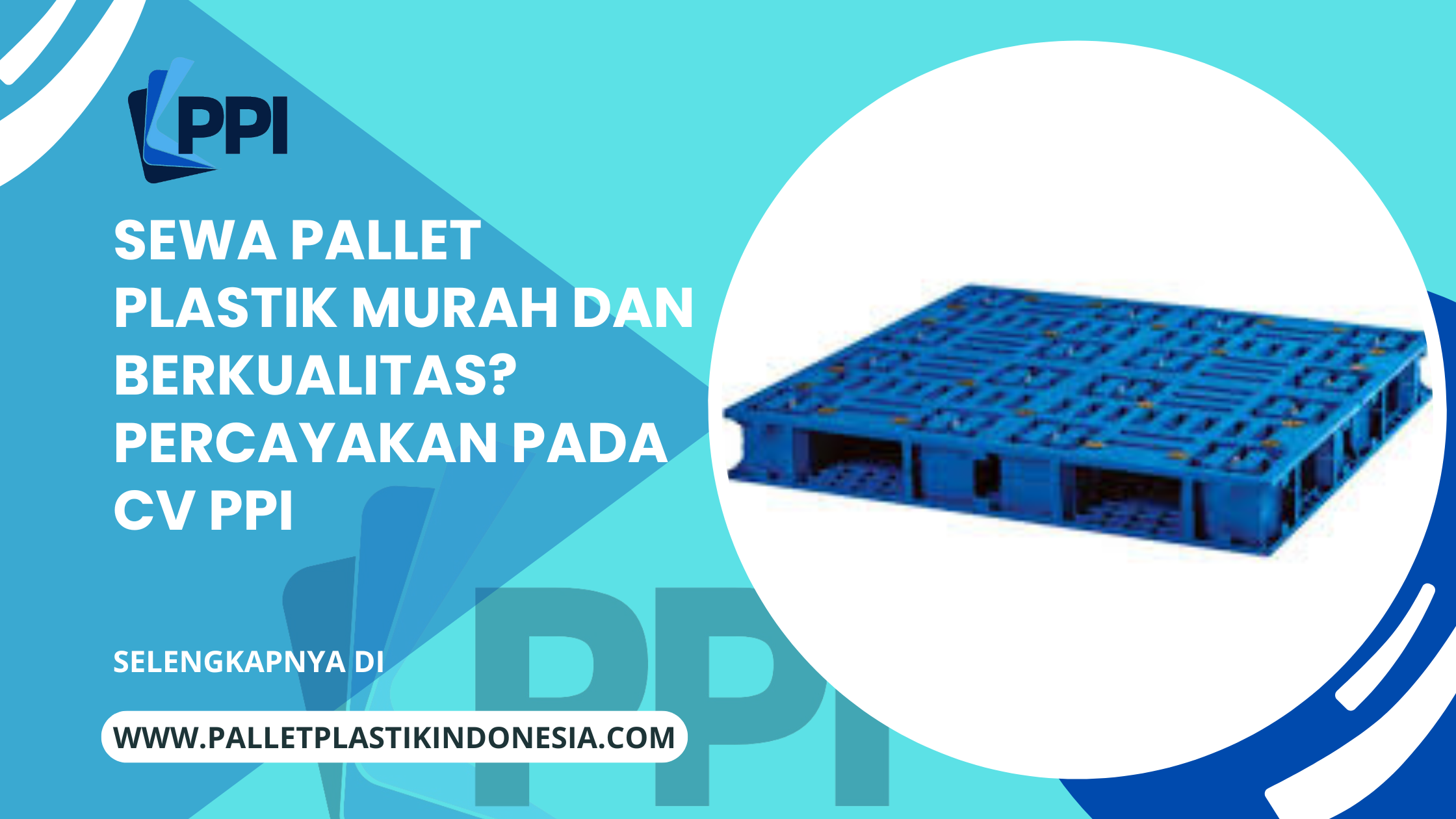 Sewa Pallet Plastik Murah dan Berkualitas Percayakan pada CV PPI (1)