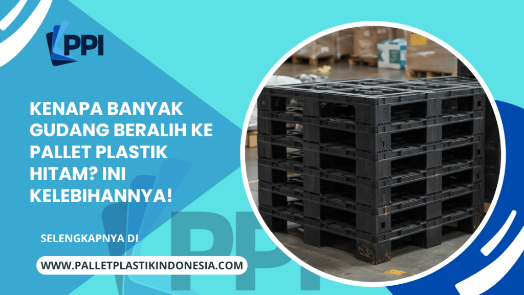 Kenapa Banyak Gudang Beralih ke Pallet Plastik Hitam? Ini Kelebihannya!