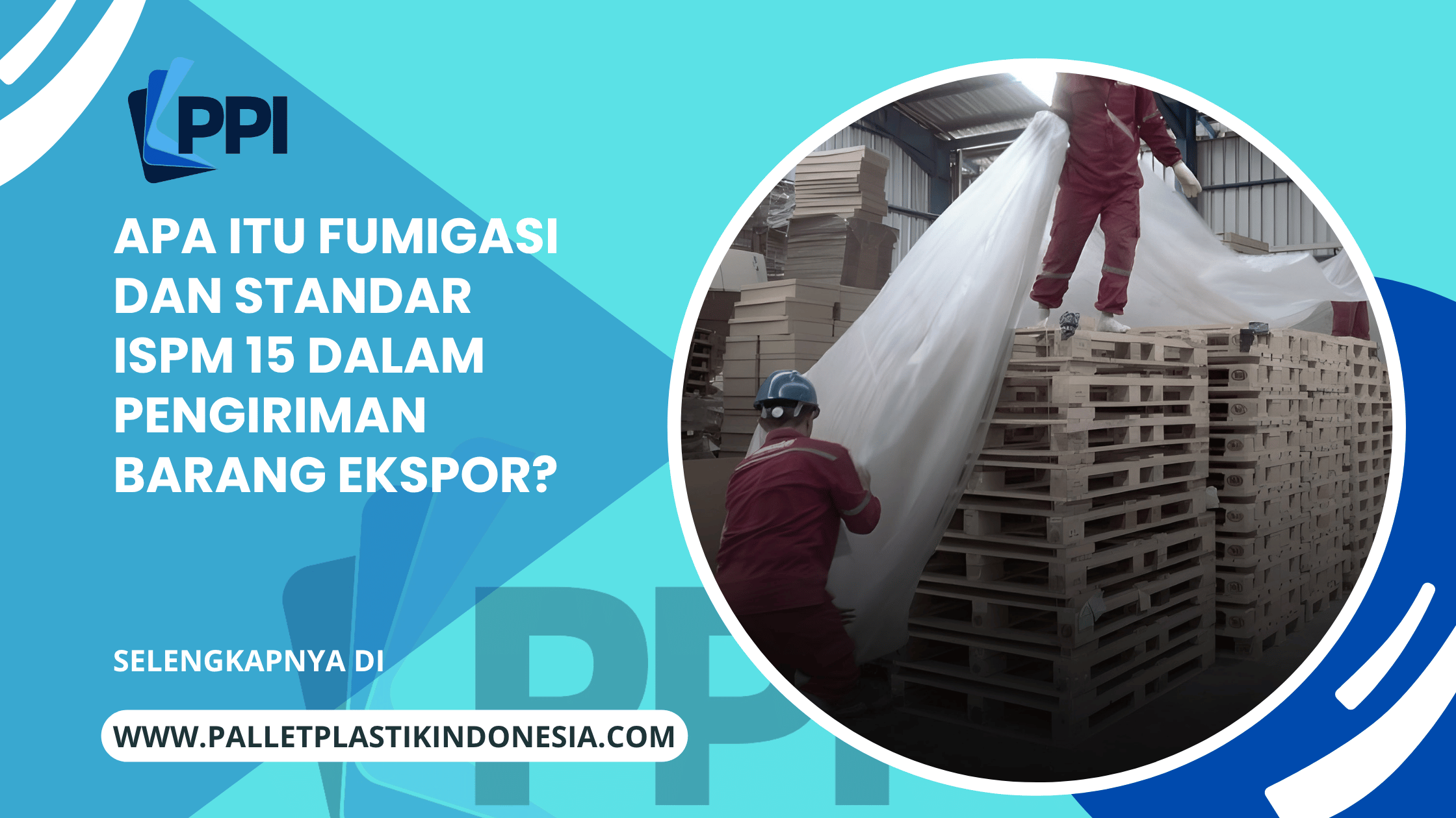 Apa Itu Fumigasi dan Standar ISPM 15 dalam Pengiriman Barang Ekspor?