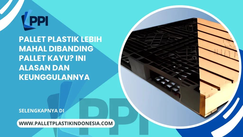 Pallet Plastik Lebih Mahal Dibanding Pallet Kayu? Ini Alasan dan Keunggulannya